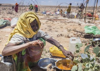 BM: Afrika Boynuzu'nda 13 milyon kişi kıtlık tehlikesiyle karşı karşıya