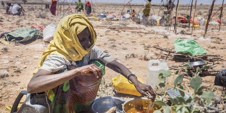 BM: Afrika Boynuzu'nda 13 milyon kişi kıtlık tehlikesiyle karşı karşıya