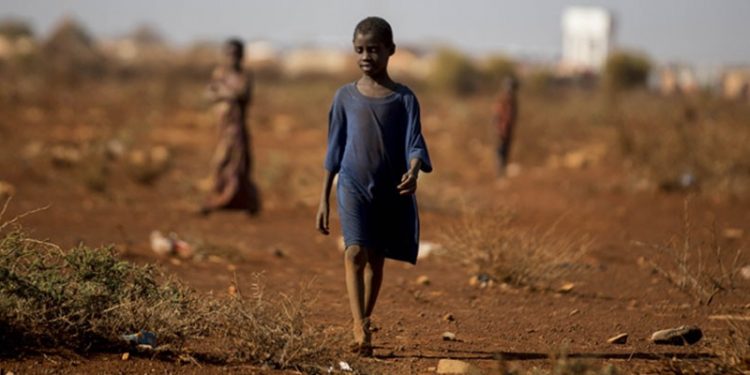 BM: Somali'de 4,3 milyon kişi kuraklıktan etkilendi