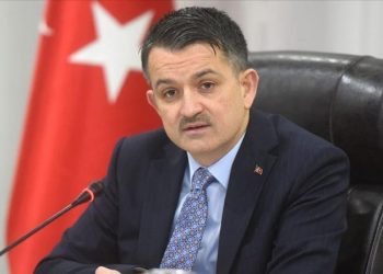Bakan Pakdemirli: 3 uçak yangına müdahalede yeterli