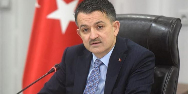 Bakan Pakdemirli: 3 uçak yangına müdahalede yeterli