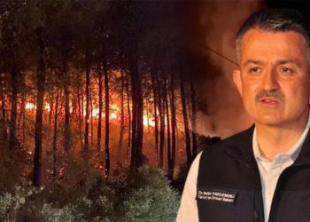 Bakan Pakdemirli: Son 10 yılda yangınların yüzde 6’sı sabotaj nedeniyle çıktı