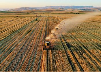 Bakan Pakdemirli: Tarımsal destekleme bütçesi 29 milyar liraya çıkarıldı
