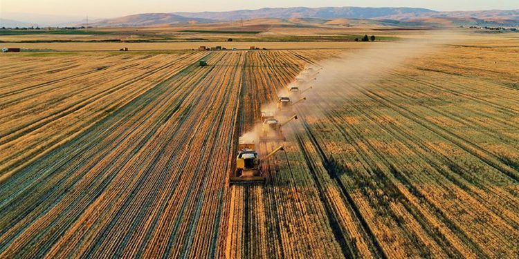 Bakan Pakdemirli: Tarımsal destekleme bütçesi 29 milyar liraya çıkarıldı