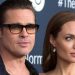 Brad Pitt, evliyken satın aldıkları bağ yüzünden Angeline Jolie'ye dava açtı