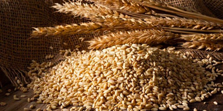 Buğday fiyatları, Rusya'nın Ukrayna'yı işgaliyle 9,5 yılın zirvesine yükseldi