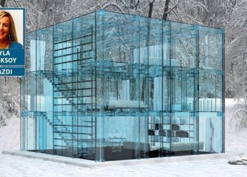 Camdan Evler ve Moral Hazard*