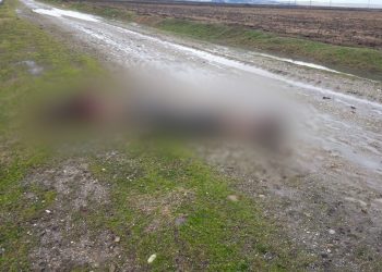 Edirne sınırında dokuz göçmen donarak öldü