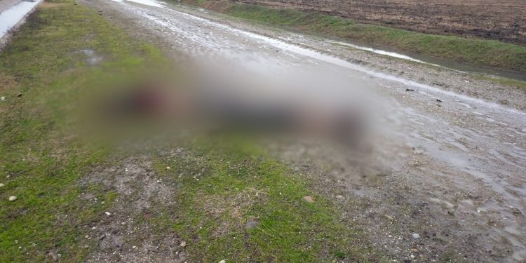 Edirne sınırında dokuz göçmen donarak öldü