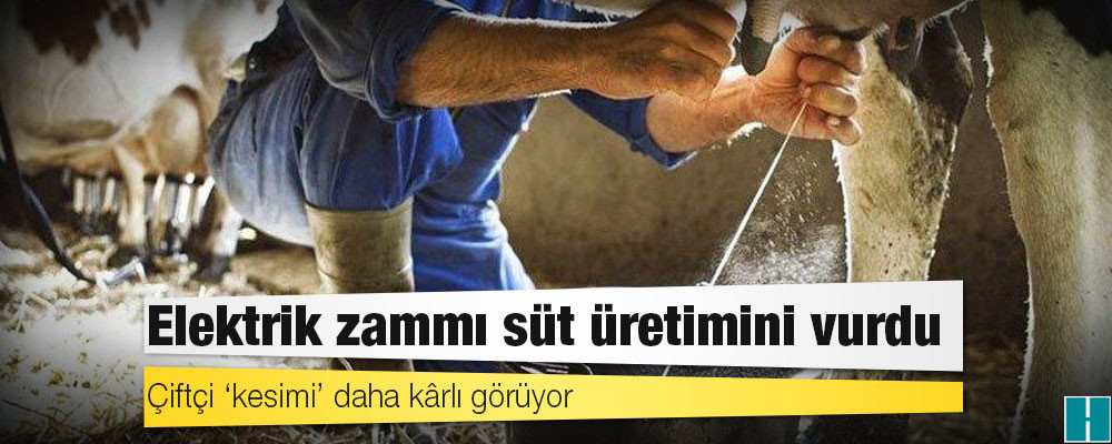 Elektrik zammı süt üretimini vurdu: Çiftçi ‘kesimi’ daha kârlı görüyor