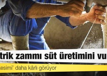 Elektrik zammı süt üretimini vurdu: Çiftçi ‘kesimi’ daha kârlı görüyor
