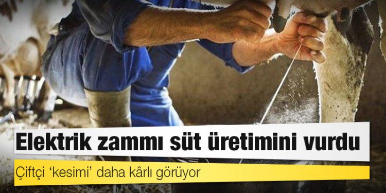 Elektrik zammı süt üretimini vurdu: Çiftçi ‘kesimi’ daha kârlı görüyor