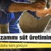 Elektrik zammı süt üretimini vurdu: Çiftçi ‘kesimi’ daha kârlı görüyor