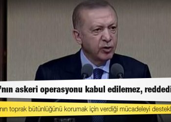 Erdoğan: Ukrayna'nın toprak bütünlüğünü korumak için verdiği mücadeleyi destekliyoruz