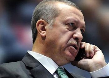 Erdoğan, Zelenskiy ile telefonda görüştü, Afrika programını iptal etti