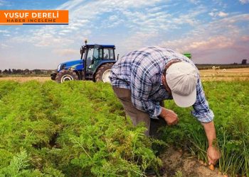 Erdoğan ‘masal’ anlatıyor; çiftçinin devletten alacağı 200 milyar lirayı aştı