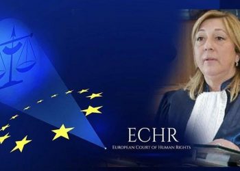 Eski AİHM Başkan Yardımcısı'ndan Erdoğan'a: Hukukçu olarak anlamıyorum