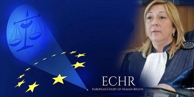 Eski AİHM Başkan Yardımcısı'ndan Erdoğan'a: Hukukçu olarak anlamıyorum