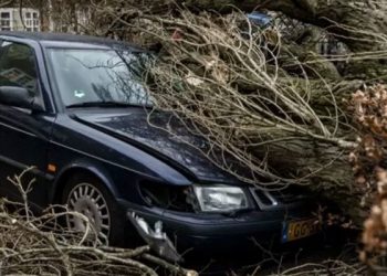 Eunice Fırtınası: Avrupa'da yıkıma neden olan fırtına nedeniyle ölenlerin sayısı 16'ya ulaştı