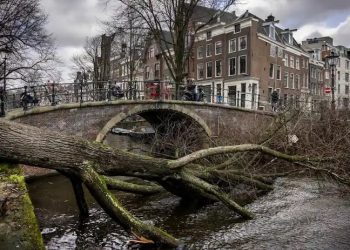 Eunice Fırtınası Avrupa'yı vurdu: En az 8 kişi öldü, çok sayıda yaralı var