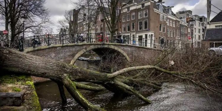 Eunice Fırtınası Avrupa'yı vurdu: En az 8 kişi öldü, çok sayıda yaralı var