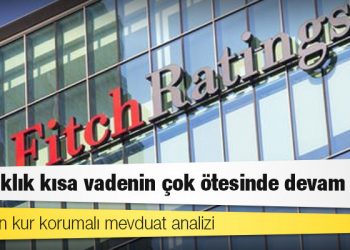 Fitch’ten Nebati’yi üzecek rapor: Oynaklık kısa vadenin çok ötesinde devam eder