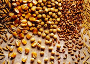 Gıda Mühendisleri Odası'ndan Ukrayna krizi uyarısı: Enflasyon ve fiyat artışı olarak dönecek