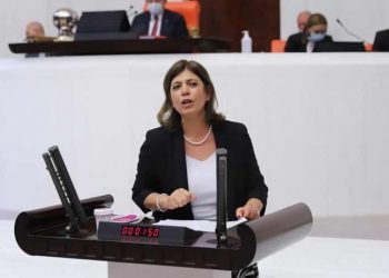 HDP'li Beştaş'tan 'Ukrayna krizi' çağrısı: Dışişleri Bakanı Meclis'i bilgilendirmeli