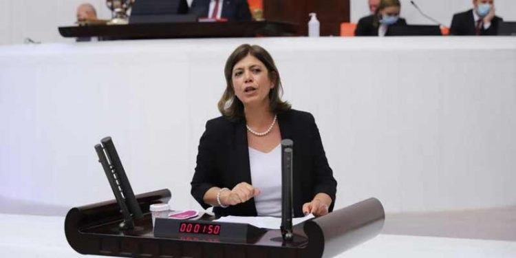 HDP'li Beştaş'tan 'Ukrayna krizi' çağrısı: Dışişleri Bakanı Meclis'i bilgilendirmeli