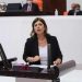 HDP'li Beştaş'tan 'Ukrayna krizi' çağrısı: Dışişleri Bakanı Meclis'i bilgilendirmeli