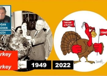 Hindi beyinlilerin hindilikten kurtulma çabası!