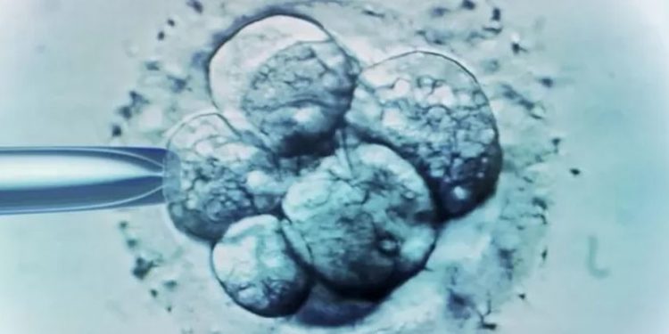 Hollanda'da doğurganlık tedavisinde kendi spermlerini kullanan doktor en az 21 çocuğun babası çıktı