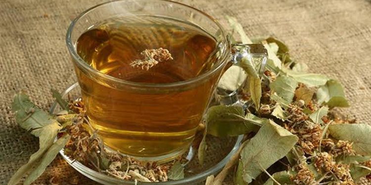 Ihlamurun kilosu 500 TL'ye çıktı