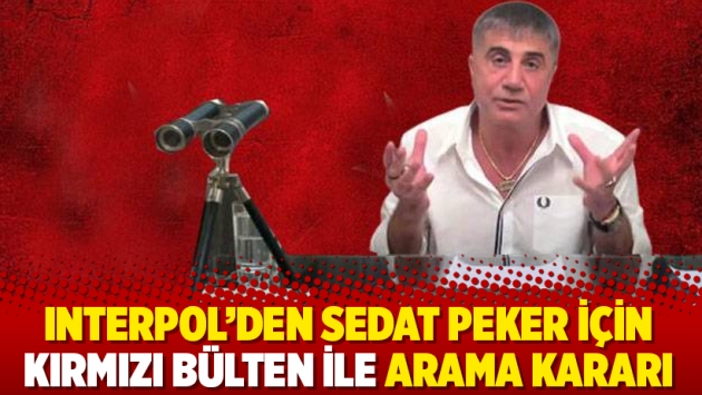 Interpol’den Sedat Peker için kırmızı bülten ile arama kararı