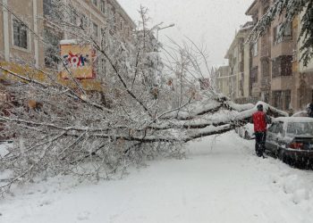 Isparta’da 36 saattir elektrikler kesik, AKP’li başkan ‘sabır’ istedi