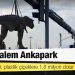 Kalem kalem Ankapark: Dinozorlara 7,9, plastik çiçeklere 1,8 milyon dolar