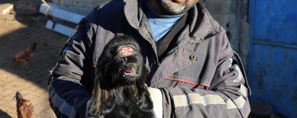 Kilis'te gözleri alnının ortasında oğlak doğdu