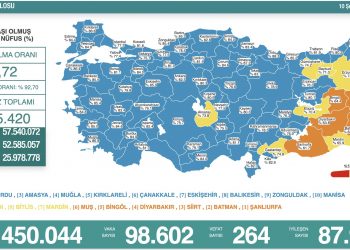 Koronavirüsten 264 kişi hayatını kaybetti