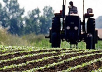 Maliyetin artmasıyla tarımsal destek cebe girmeden eridi