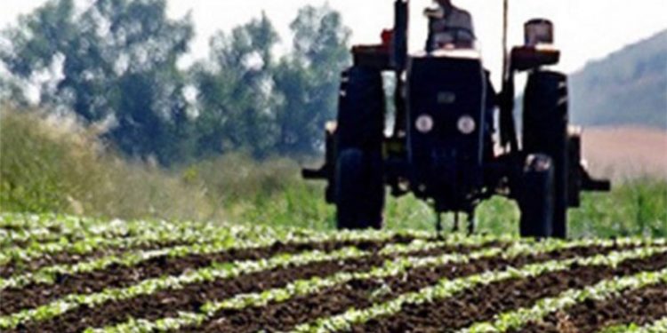 Maliyetin artmasıyla tarımsal destek cebe girmeden eridi