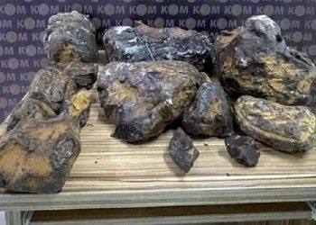 Mersin’de ‘balina kusmuğu’ ele geçirildi! Piyasa değeri 10 milyon lira