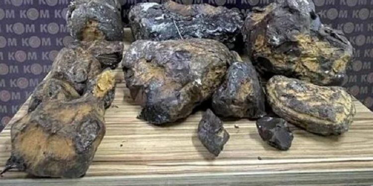 Mersin’de ‘balina kusmuğu’ ele geçirildi! Piyasa değeri 10 milyon lira