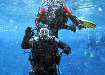 Muhalefetin sorusu Mustafa Varank’ı ‘kızdırdı': Alçakça bir iftiradır