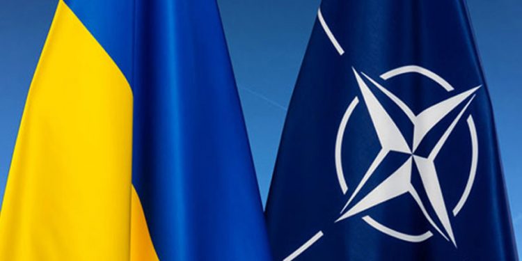 NATO Genel Sekreter Yardımcısı: Kimsenin Ukrayna'nın yakın zamanda NATO'ya katılacağını söylediği yok