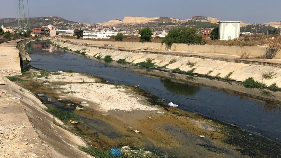 Nehirlere karışan ilaçlar 'küresel sağlık için risk oluşturuyor'