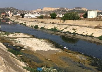 Nehirlere karışan ilaçlar 'küresel sağlık için risk oluşturuyor'