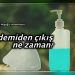 Pandemiden ne zaman kurtulacağız? Prof. Salih Hoşoğlu anlatıyor…