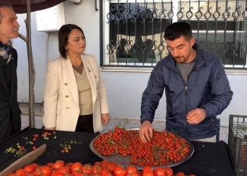 Pazarcılık yapan felsefe öğretmeni özetledi: Gençler yurt dışına mecbur bırakılıyor