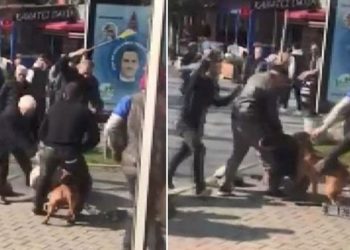 Pitbull davasında köpek 'silah' sayıldı; sahibi 'silahla yaralama'dan tutuklandı