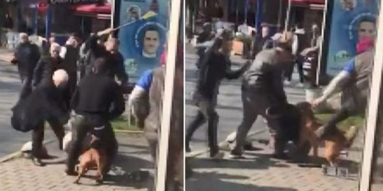 Pitbull davasında köpek 'silah' sayıldı; sahibi 'silahla yaralama'dan tutuklandı